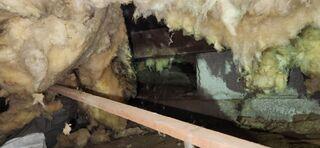 Tight Crawl Space in Need of Transformation- Aurora, OR