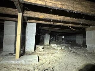 Crawlspace Transformation in Brunswick, GA