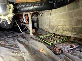 Before the Encapsulation