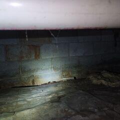 Crawl Space During Inspection