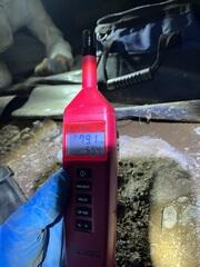 Humid Crawl Space in Need of Attention- Portland, OR