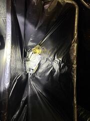 Remove All That Gunk