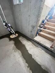 TripleSafe Sump Pump