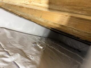 CleanSpace® Wall System