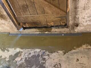 TrenchDrain Grated Basement Drain