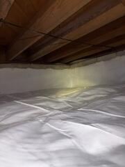 CleanSpace Goes Up the Walls to Fully Protect Your Home