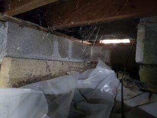 Before Crawl Space Renovation