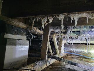 Crawl Space Repair in Madison, AL