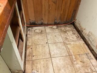 Moldy Finished Basement