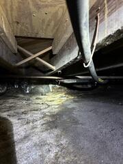 Crawlspace Transformation in Savannah, GA