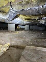 Before Encapsulation