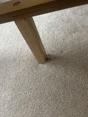 Crawling on the Carpet