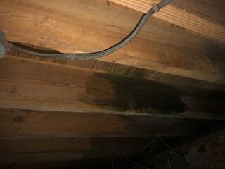 Mold Stains in Crawl Space