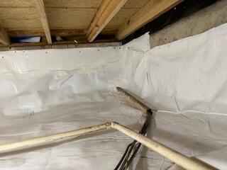 CleanSpace Moisture Barrier