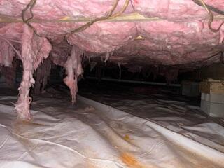 Crawl Space Encapsulation & Sump Pump Installation in Hillsborough, NC