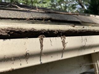 Gutter Shutter Installation in Almond | Gutter Repalcement