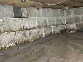 Signs of Moisture Seepage