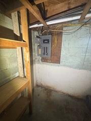 The Beginnings of Mold Growth