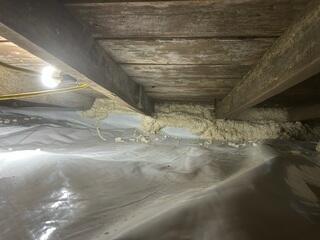 Foam Insulation