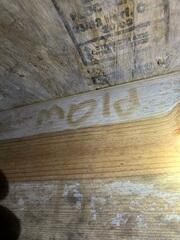 Mold in the Crawl Space