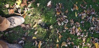 Local Basement Waterproofing Company Fixes Ongoing Water Problems in Wittenberg, WI