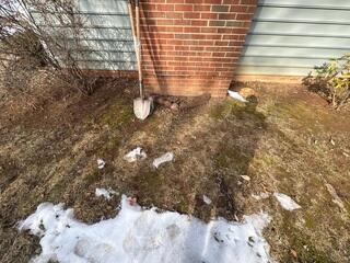 Chimney Stabalization in Charlottesville, Virginia