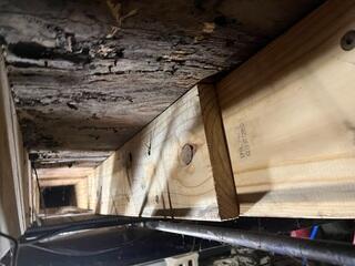 Floor Joist Replacement