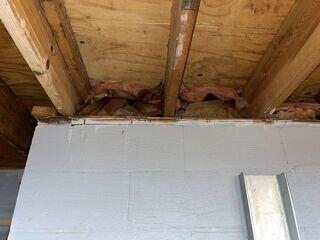 Rodent cleanup and sanitation in Pittsburgh, PA 15237