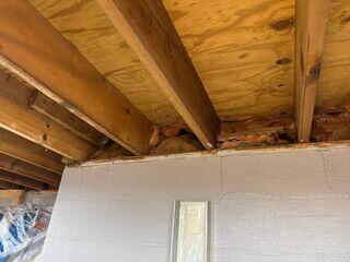 contaminatedinsulation2