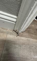 Water Damage Restoration in McKinney TX - Damaged Baseboards and Flooring