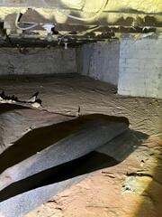Crawl Space Repair in Hoboken, NJ