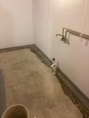 Transforming Damaged Walls