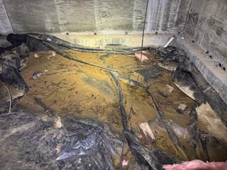 Water, Rodents and Debris