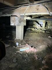 Damp Crawl Space