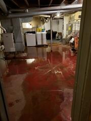 Before WaterGuard® - Flooding Present