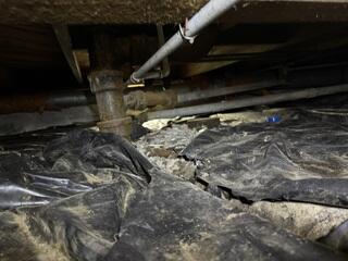 Before Photo of Crawlspace