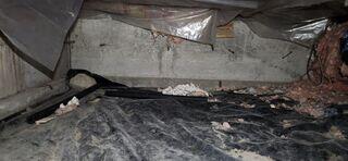 Neglected Crawl Space