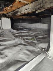 Crawl Space Encapsulation