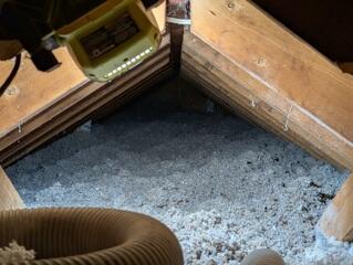 Renewed and Restored