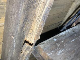 Neglected Crawl Space - Blenheim, ON