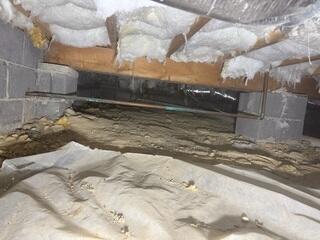 Crawl Space Before