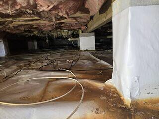 Crawl Space Before