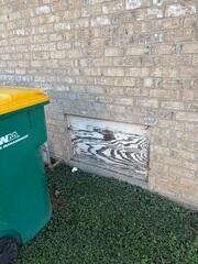 Existing Crawl Space Door