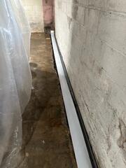 Basement Waterproofing Solution in Belleville, NJ