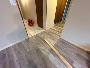 New Flooring Installation in Plano, TX  - Interior water damage Restoration