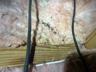 Left Us Some Presents