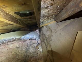 Attic Team Will Come Out