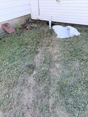 Discharge Line Freeze Prevention