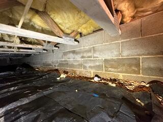 Transforming a Damp Crawl Space in Little Egg Harbor Township, NJ