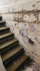 Peeling and Damaged Walls